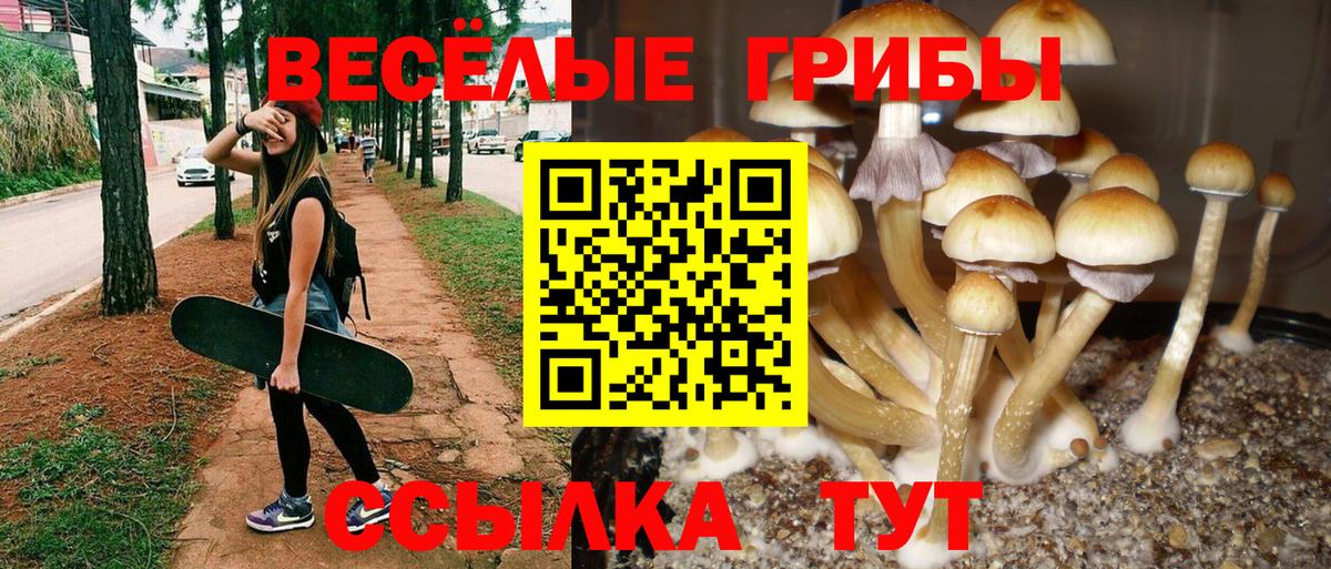 Псилоцибиновые грибы мицелий  Псилоцибиновые грибы ЛСД  Шали  закладки  Вход с VPN 