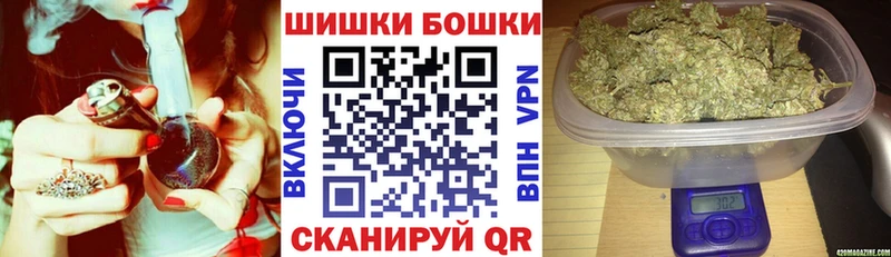Конопля White Widow  купить наркотик  Шали 
